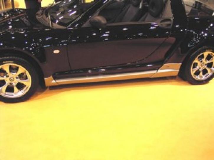 Smart Roadster Seitenschweller Top Tuning