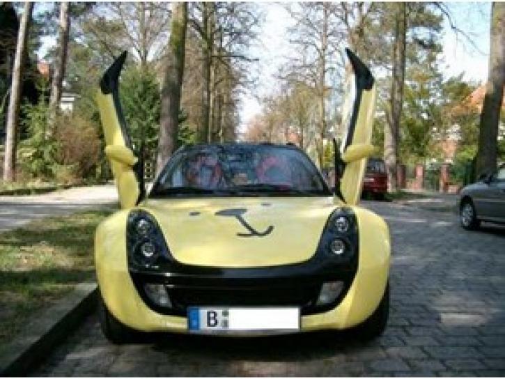 Lambo Style Doors smart Roadster Typ 1-43398