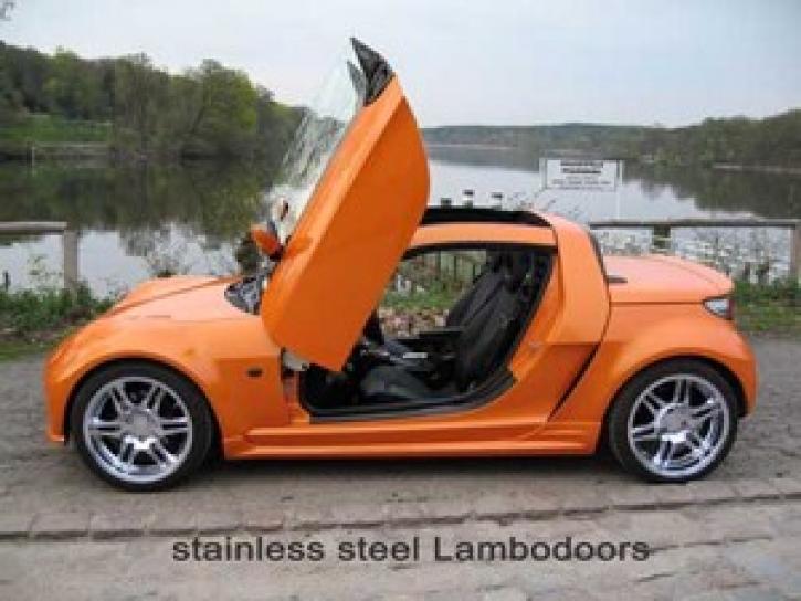 Lambo Style Doors smart Roadster stainless st