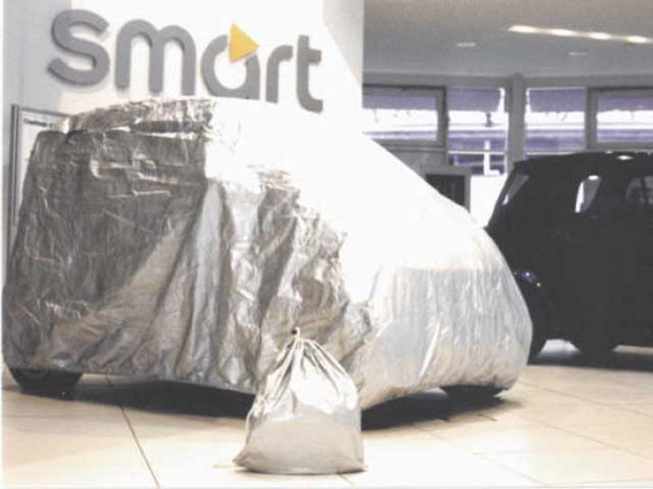 Car Cover for Two 450 maxi