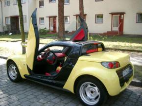 Lambo Style Doors smart Roadster Typ 1