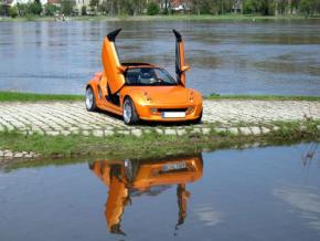 Lambo Style Doors smart Roadster stainless st