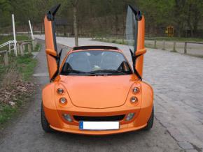 Lambo Style Doors smart Roadster stainless st