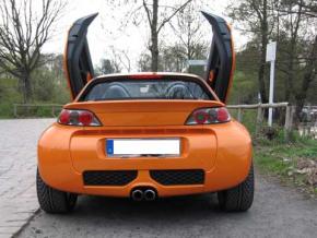 Lambo Style Doors smart Roadster stainless st