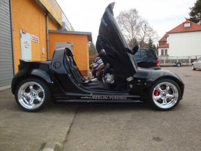 Lambo Style Doors smart Roadster stainless st